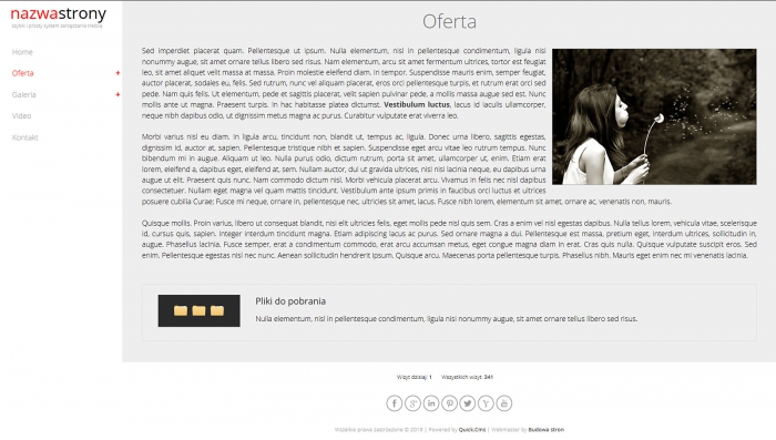 przykładowa strona www, gotowe strony internetowe, przykłady szablonu